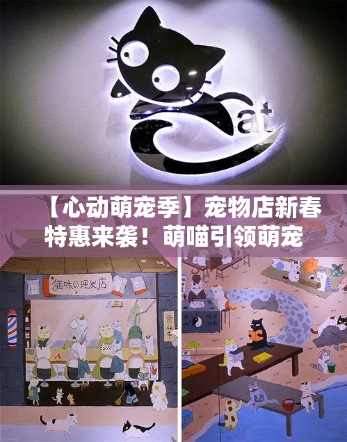 【心动萌宠季】宠物店新春特惠来袭！萌喵引领萌宠新风尚，给你的毛小孩最温馨的关怀空间。