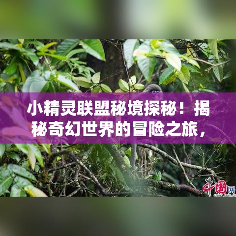 小精灵联盟秘境探秘！揭秘奇幻世界的冒险之旅，探寻友谊与勇敢的真谛！